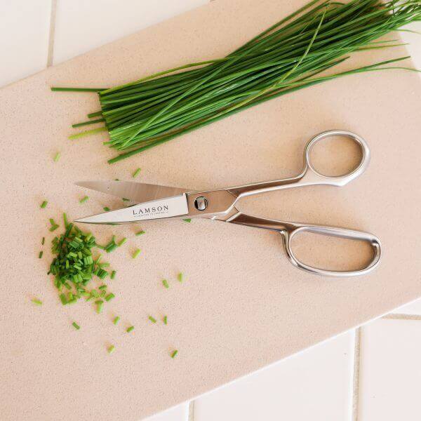 Forged Take Apart Shears