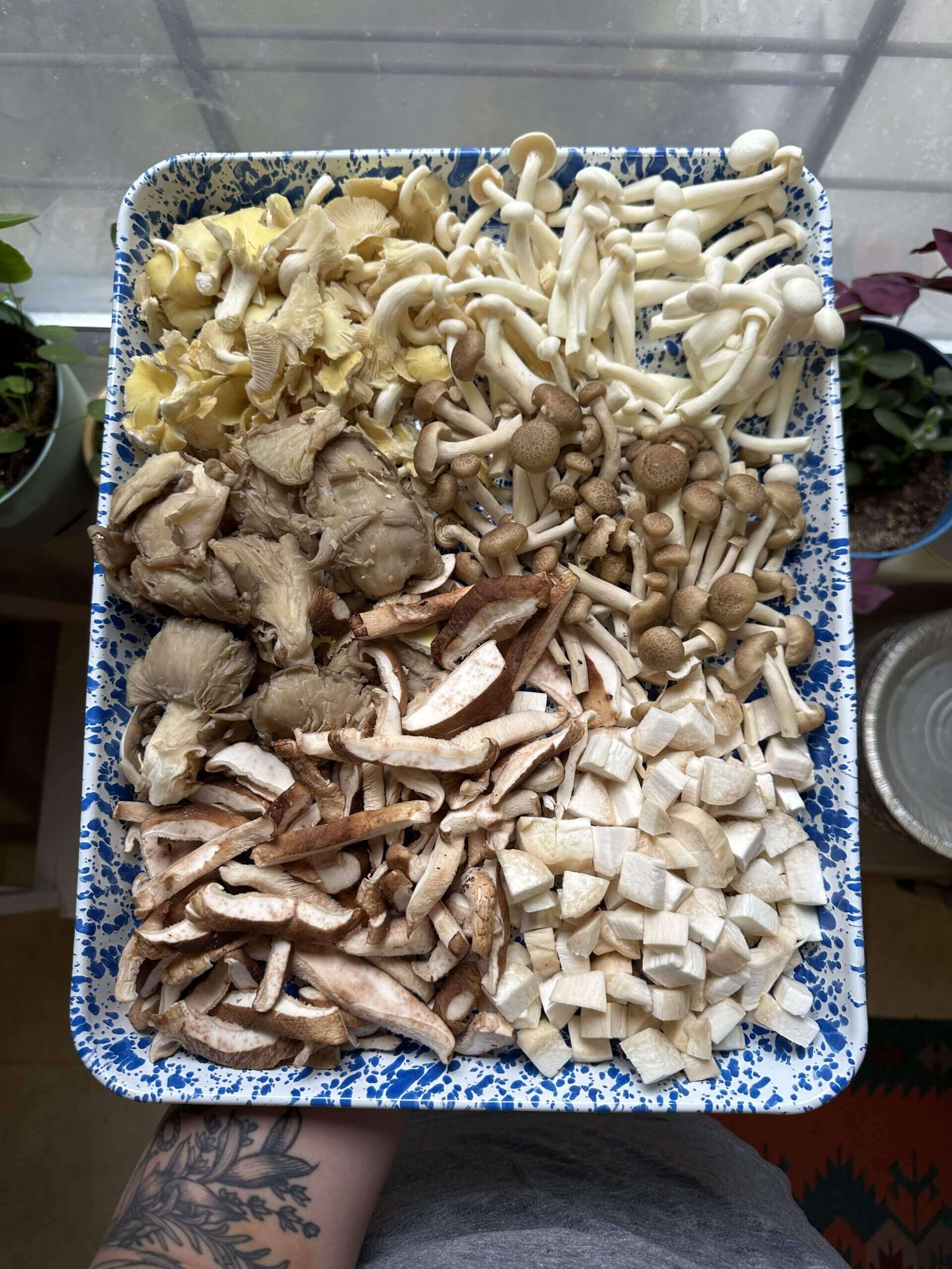 Mushrooms