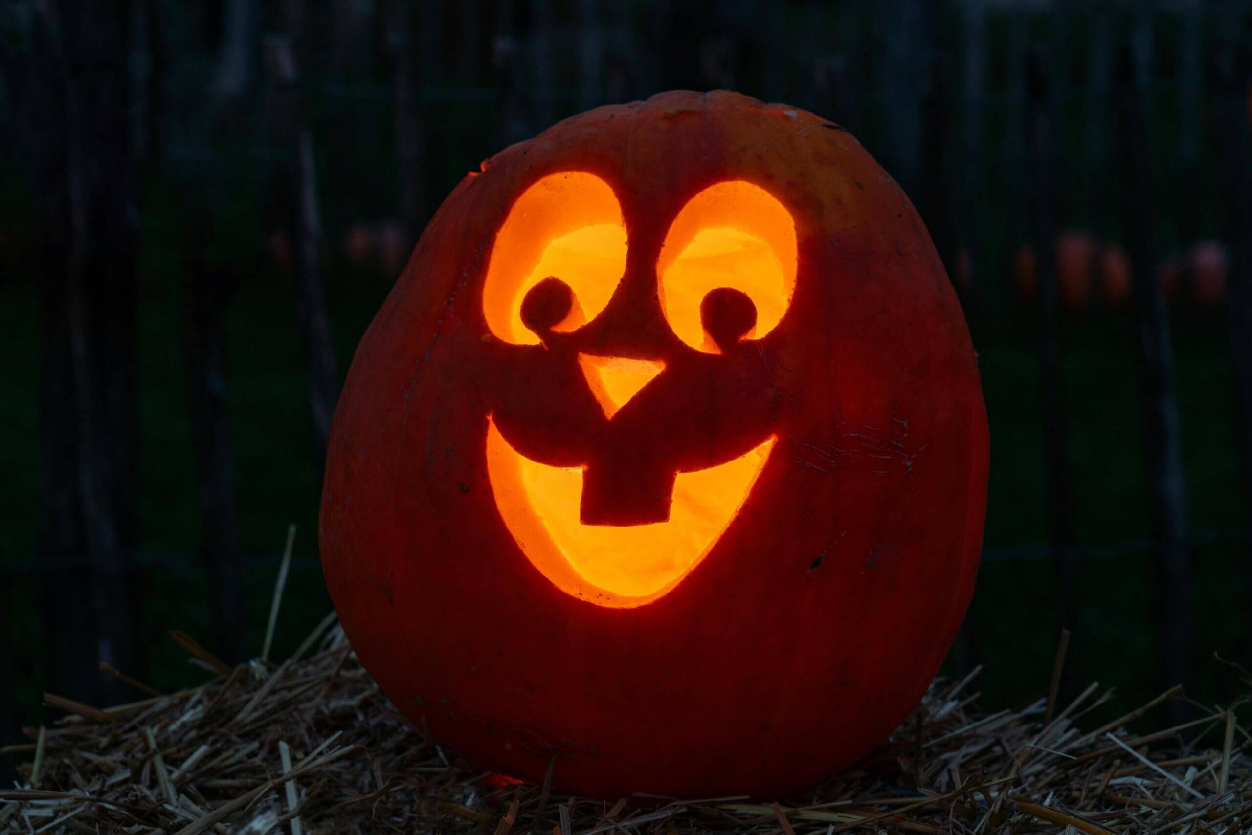 Chopping and Slicing, Carving, Chopping, best pumpkin carving knives